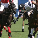 Polo, Commercial Wedding Photographers: Photoscience.co.uk